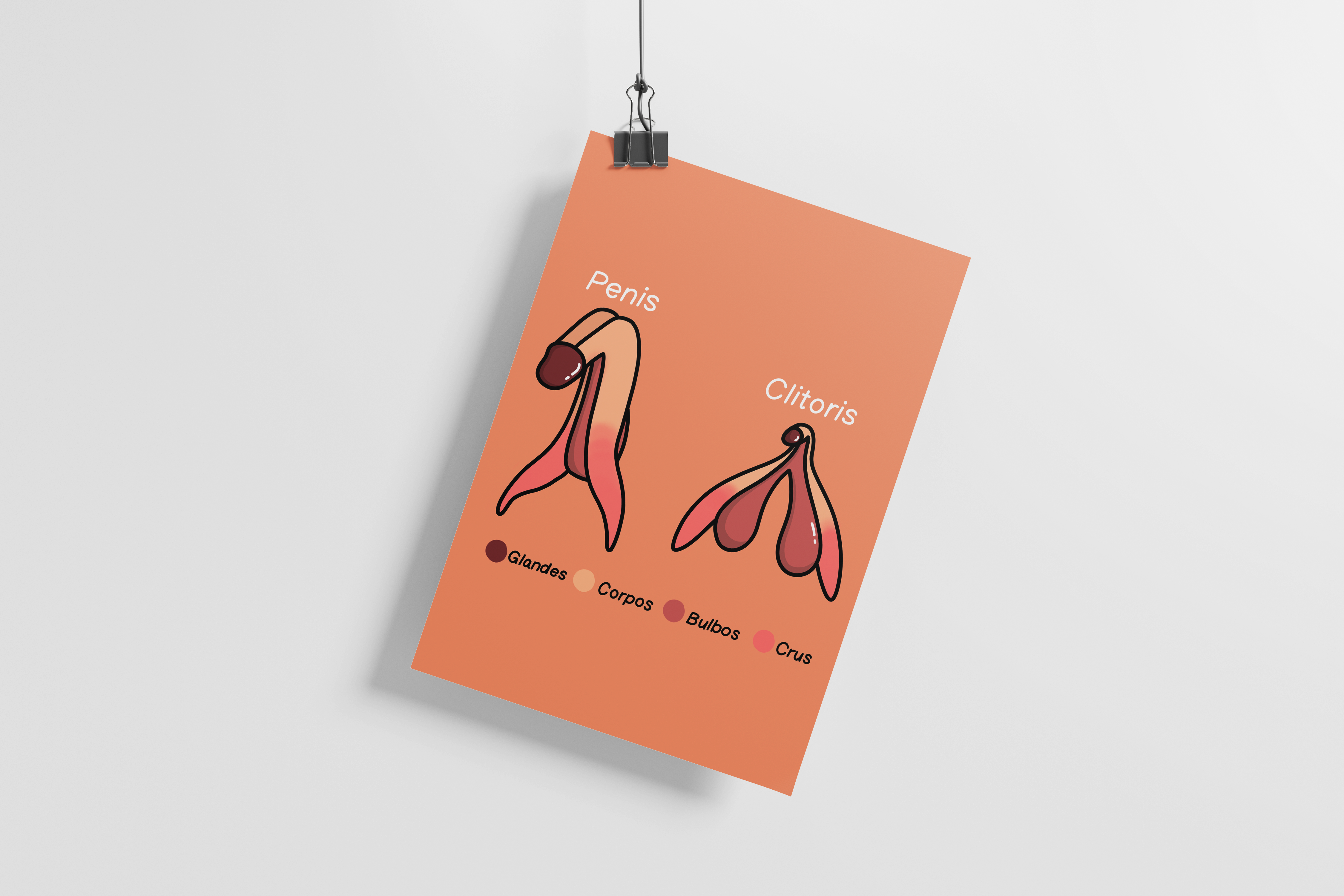 'Clitoris Vs Penis' Sex-Positive Print